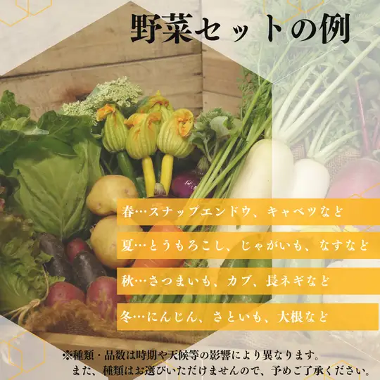 【定期便3回】季節の野菜セット（6～7品）