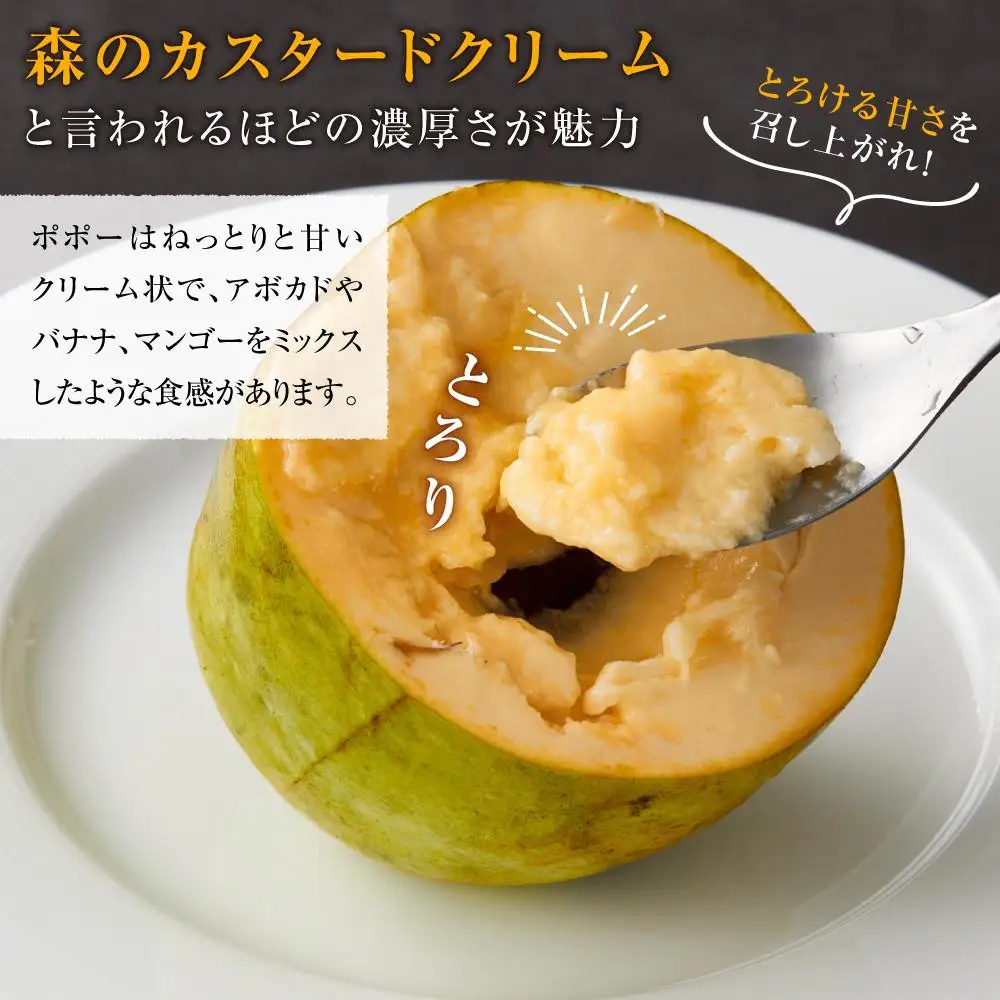 【2026年9月中旬頃より発送 受付締切9月20日】ポポー 約1kg【受取日事前打合せ可能な方限定】【配送不可：離島】幻の果実 レア フルーツ ポポー 健康 美容 美肌 ファーム池の沢 静岡市◇