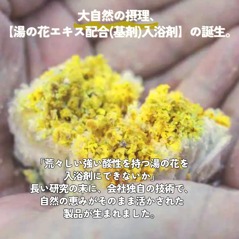 2か月毎 定期便 全2回 別府の湯 2200g 詰め替え用 約 220 回分 湯の花 湯の花エキス 冷え症 入浴剤 別府温泉 ヤングビーナス お風呂 薬用 温泉気分 温浴 肌 父の日ギフト 岐阜県 坂祝町 F6M-391