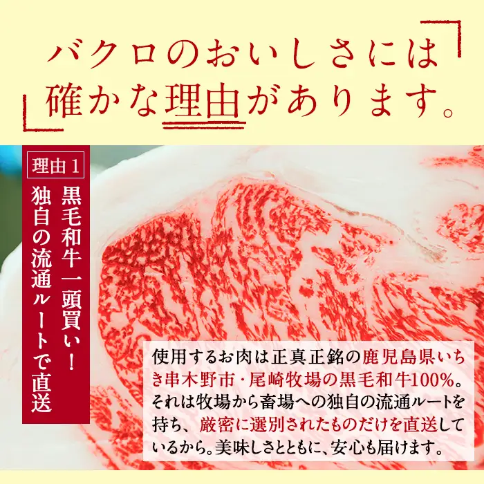 【お中元】黒毛和牛 鹿児島県産 すね 切り落とし 700g カレー シチュー用 牛肉 すね【00-030-28-R8OC】