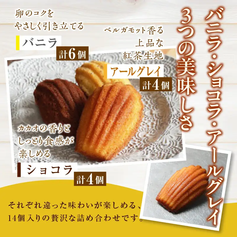 【お中元 内熨斗対応可能】マドレーヌ 14個入