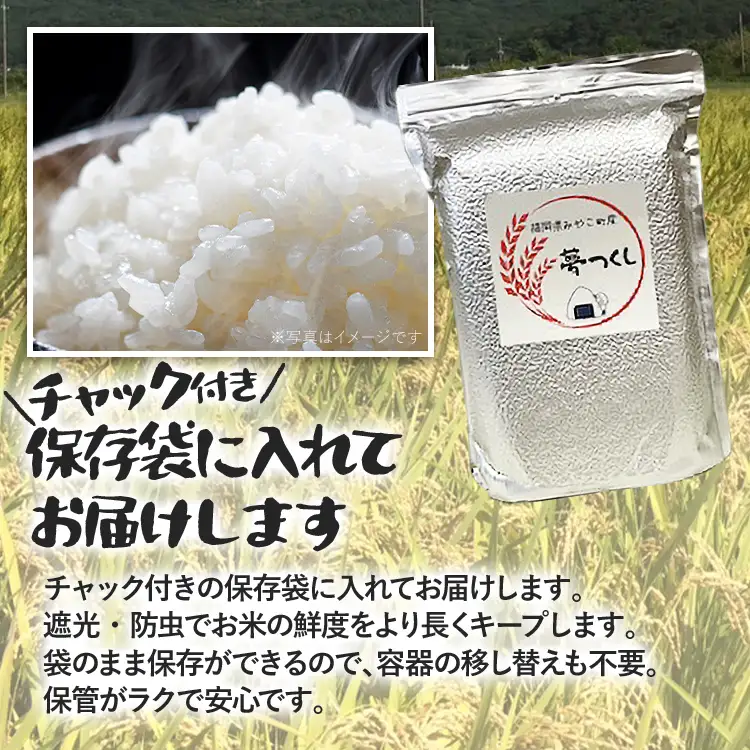 米  無洗米 令和8年産 元気つくし 10kg  米 