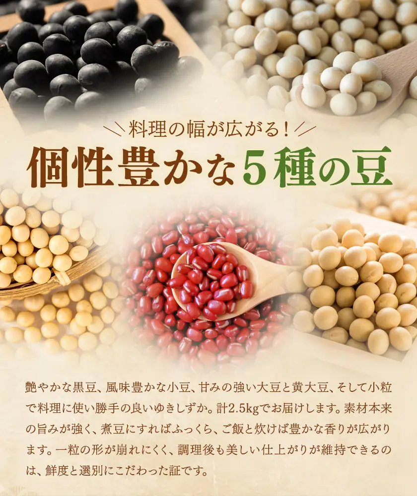 本別 豆 セット 各500g 5種類 2.5kg 特定非営利活動法人 銀河ほんべつ《30日以内に出荷予定(土日祝除く)》大豆 黒豆 小豆 ゆきしずか 黄大豆