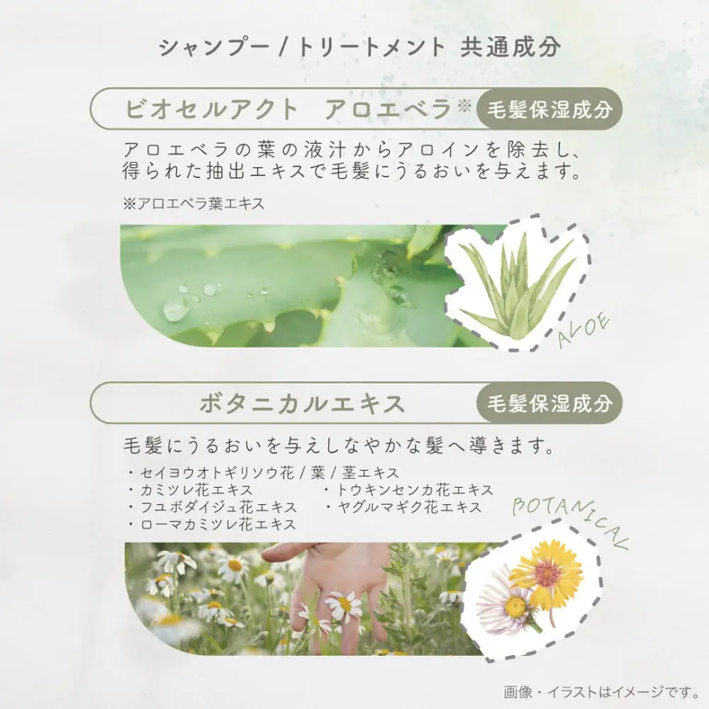 eco HBS シャンプー【キンモクセイ】eco HBS シャンプー500mL,1700mL＋トリートメント500g,1700g 4点セット