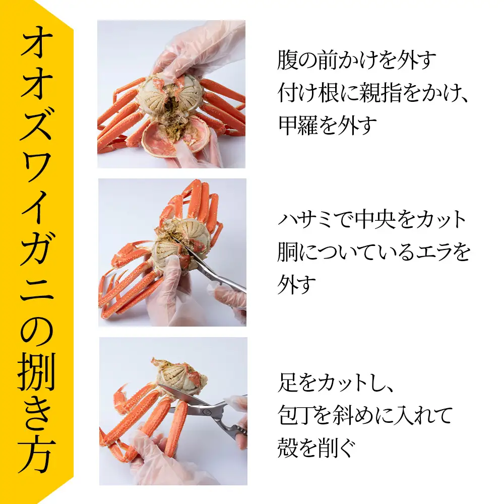 【7営業日以内発送】訳あり オオズワイガニオス 大サイズ (約300～600g) 浜ゆで 2kg (4～5尾入) AS223