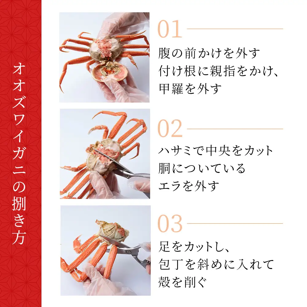 【7営業日以内発送】訳あり オオズワイガニメス (約150-350g前後) 浜ゆで 2kg (5～9尾入) AS226