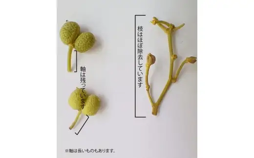  冷凍 ぶどう 生実山椒 400g あく抜き処理済み / 山椒 さんしょう 香辛料 調味料 薬味 冷凍 ぶどう山椒  和歌山県 紀美野町 実山椒【twn044-cmi-400】