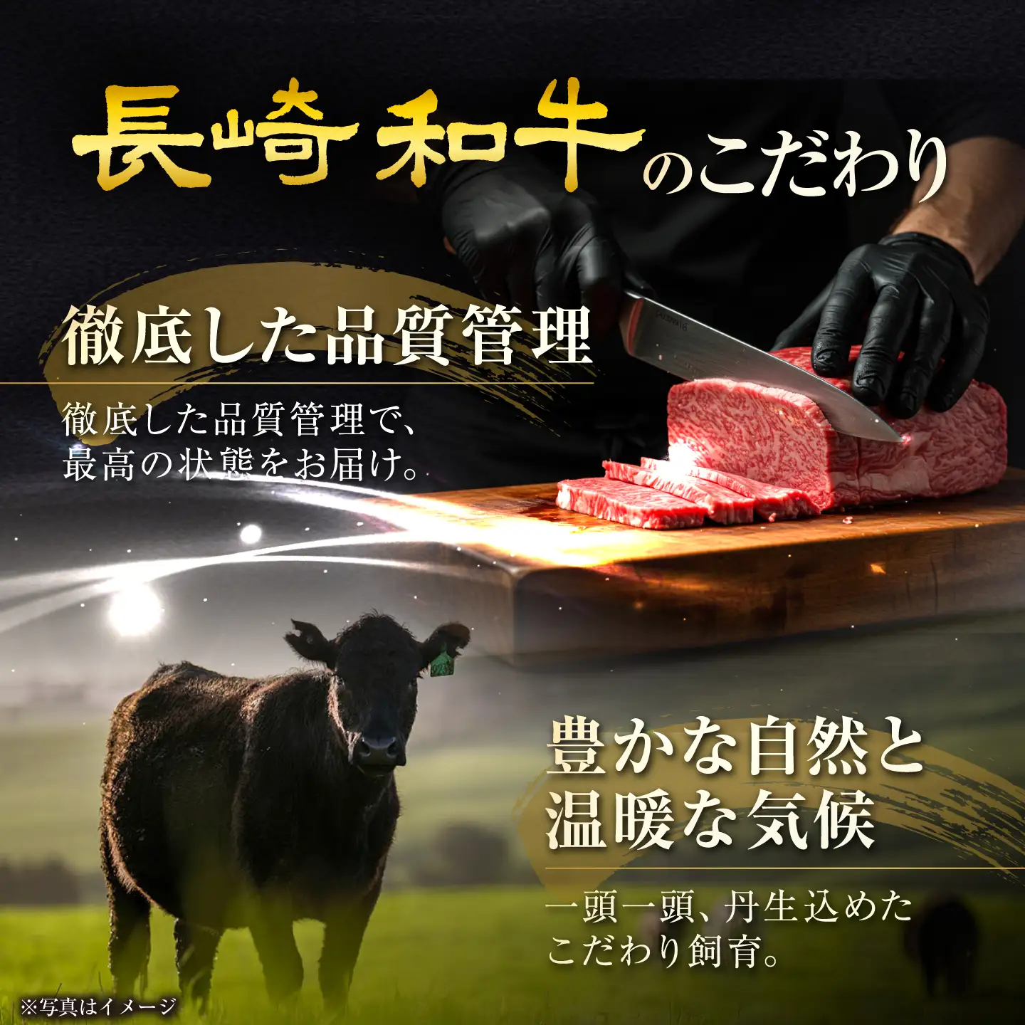 長崎和牛シャトーブリアン 約200g×2 計400g / シャトーブリアン [ACCD041]
