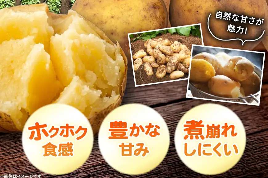 じゃがいも きたむかい 5kg [けんぶちVIVAマルシェ 北海道 剣淵町 14656394]