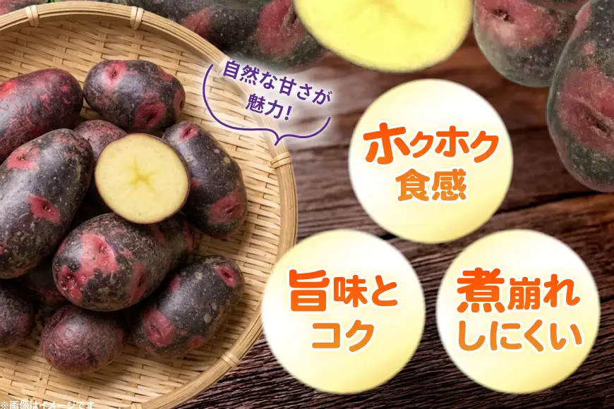 じゃがいも デストロイヤー 5kg [けんぶちVIVAマルシェ 北海道 剣淵町 14656393]