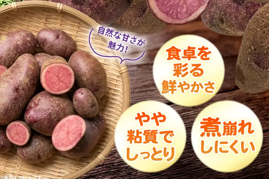 じゃがいも ノーザンルビー 5kg [けんぶちVIVAマルシェ 北海道 剣淵町 14656392]