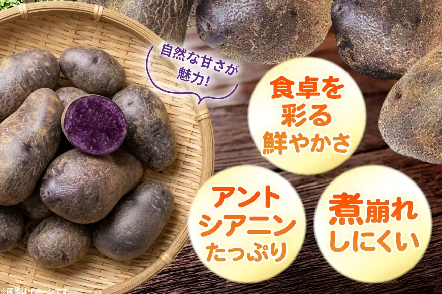 じゃがいも シャドークイーン 5kg [けんぶちVIVAマルシェ 北海道 剣淵町 14656391]