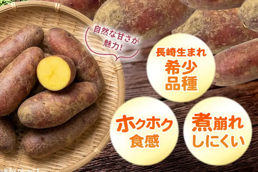 じゃがいも タワラヨーデル 5kg [けんぶちVIVAマルシェ 北海道 剣淵町 14656390]