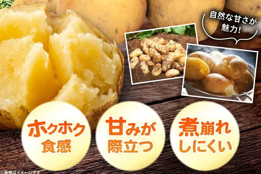 じゃがいも 男爵 5kg [けんぶちVIVAマルシェ 北海道 剣淵町 14656389]