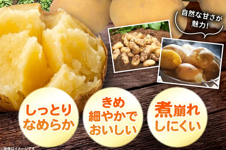 じゃがいも とうや 5kg [ けんぶちVIVAマルシェ 北海道 剣淵町 14656387]