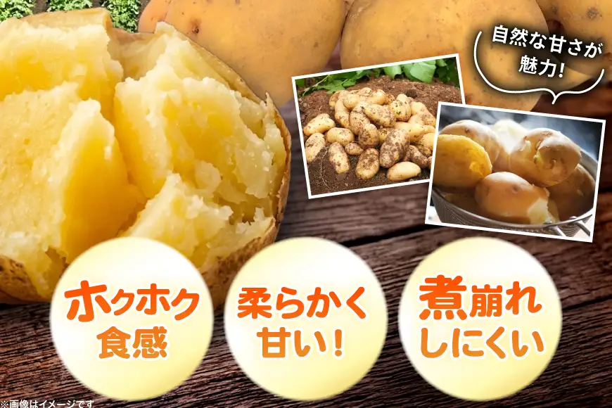 じゃがいも きたあかり 5kg [けんぶちVIVAマルシェ 北海道 剣淵町 14656388]