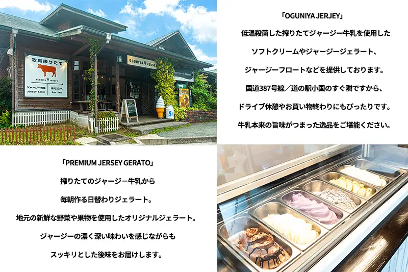 【OGUNIYA JERJEY】阿蘇小国ジャージージェラート ミルク 12個 ゴールデンミルク 牧場しぼり 山吹色のジャージー牛乳使用 お取り寄せ ご褒美 簡易のし 贈答 ギフト 記念日 ご自宅用 チルド 冷凍配送