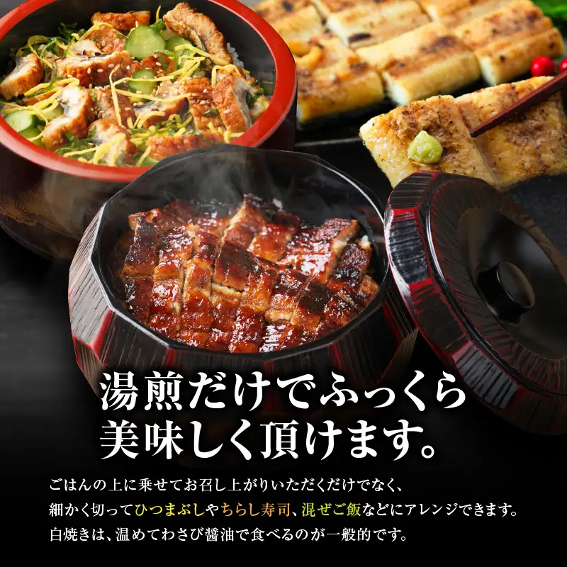 【 全3回 定期便 】 鹿児島県産 うなぎ の かば焼き 1尾 ・ 白焼き 1尾 KN174-T09 定期 ウナギ 鰻 蒲焼き 冷凍