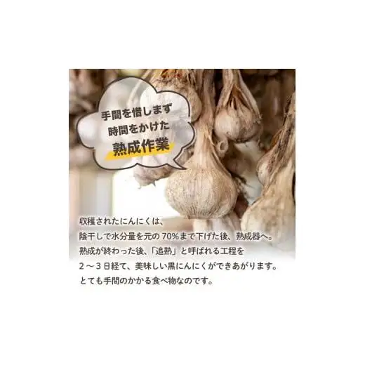 【早期予約】 訳あり 黒にんにく250g あわ地区 野菜 高知 須崎 AWA016_x