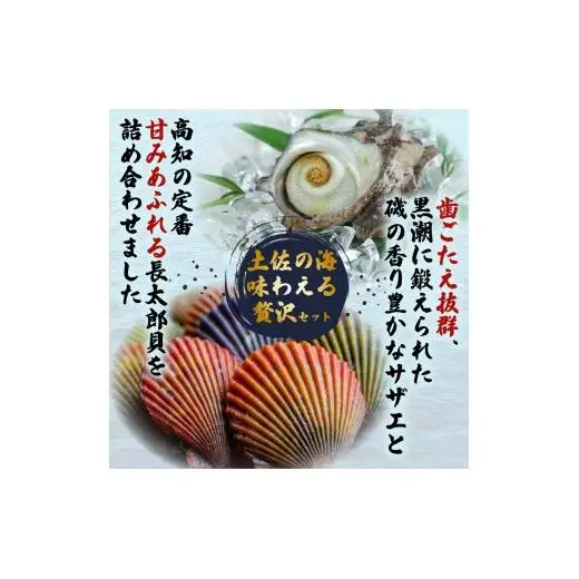 サザエ 長太郎 10個 セット 