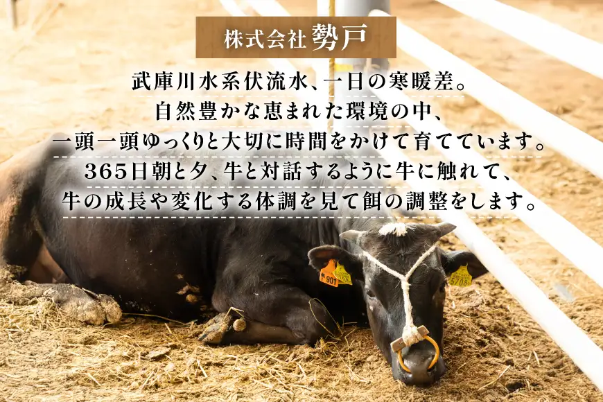 三田 マルセ牛 食べ比べ セット 計800g [勢戸 兵庫県 三田市 3d28bae610044]