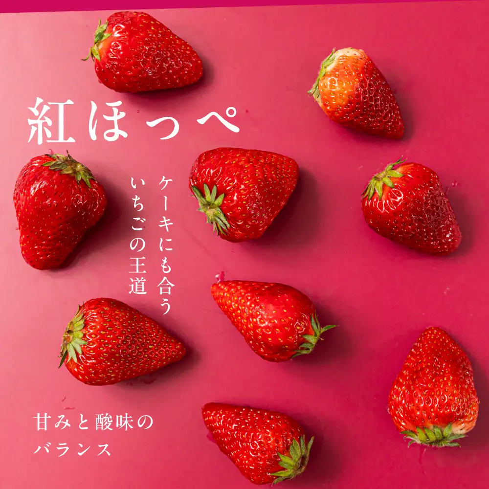 【先行予約】《2027年1月～発送》令和9年産 品種おまかせ いちご 紅ほっぺ かおり野 1kg (250g × 4p) サイズ 不揃い 農園直送 生食 ケーキ [mt2205]｜フルーツ 果物 苺 イチゴ 子ども 小分け 簡易梱包 家庭用 産地直送 岐阜県 本巣市 15000円