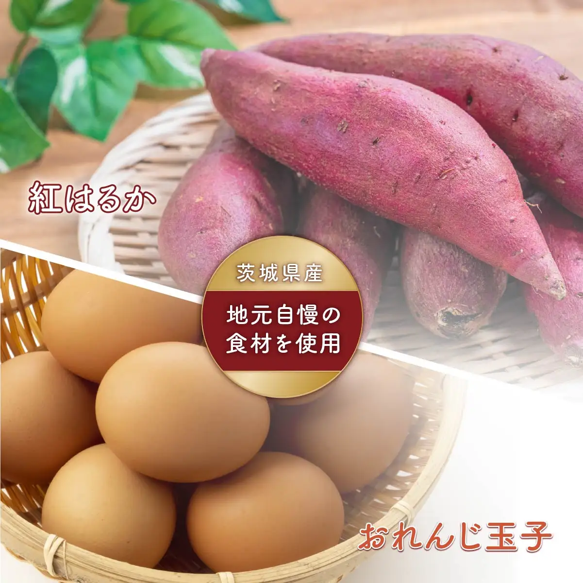 焼菓子 うまもん(5個) 1箱 | マドレーヌ まどれーぬ 焼き菓子 焼菓子 お菓子 やきがし ヤキガシ おかし おやつ スイーツ 紅はるか おれんじ玉子