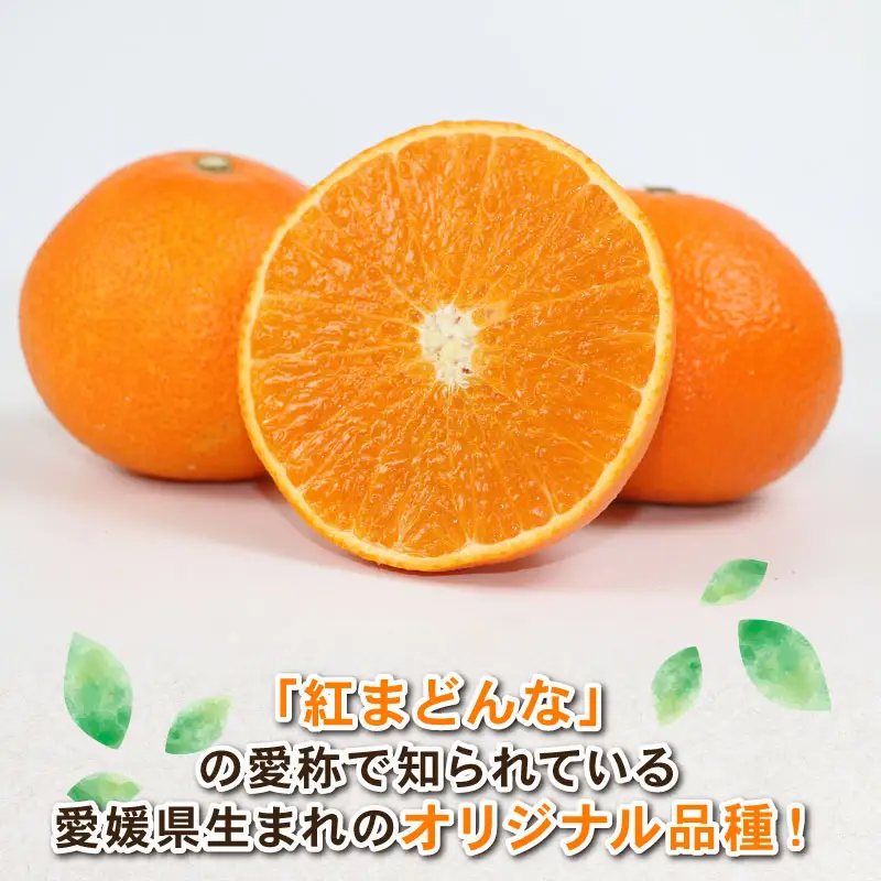 訳あり 愛果28号 約4kg Shirai.agrifarm 先行予約 B015-115013