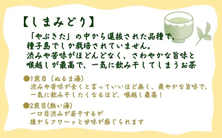 【 R8年産 出荷中 】種子島 射場貴大茶園 煎茶 「 しまみどり 」リーフ茶 2袋　NFN678【150pt】// 新茶 日本茶 緑茶 お茶 一番茶
