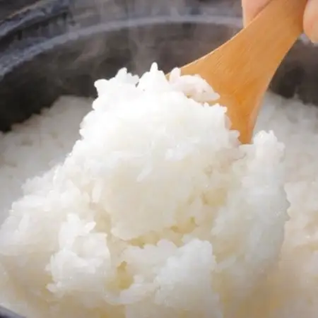 【毎月定期便】特別栽培米 北海道産 ゆめぴりか 5kg(5キロ×1) 精米 美味しいお米全6回【4086818】