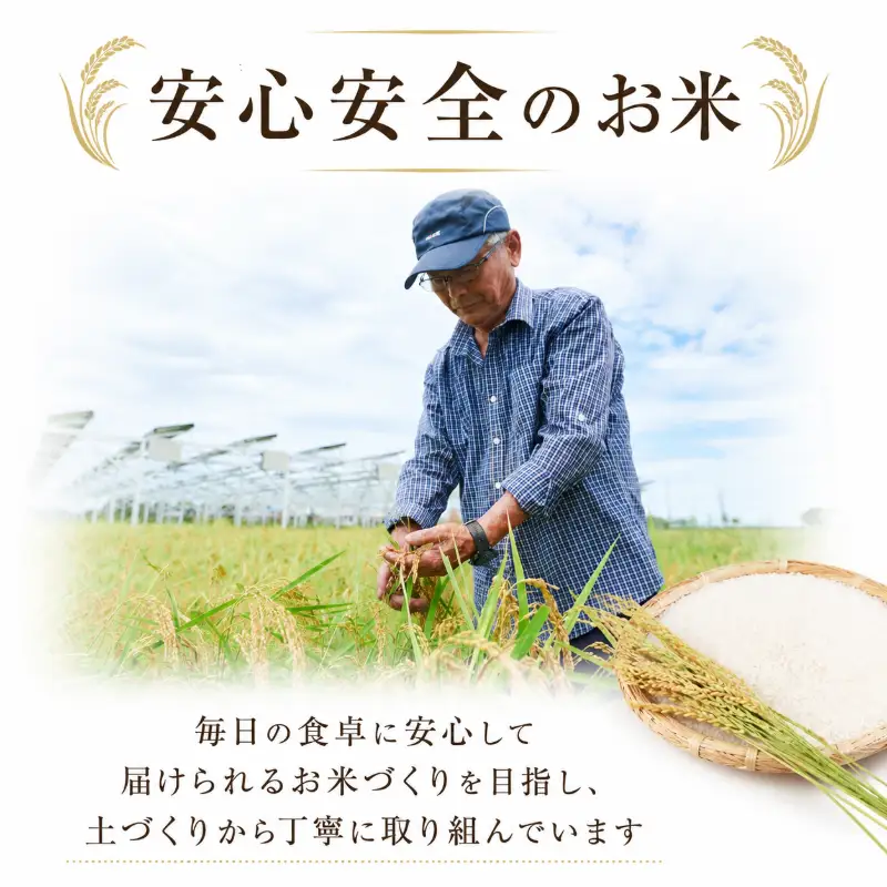 令和7年産 コシヒカリ 10kg 白米 米 数量 限定 こしひかり 10キロ 米10kg 小松島市