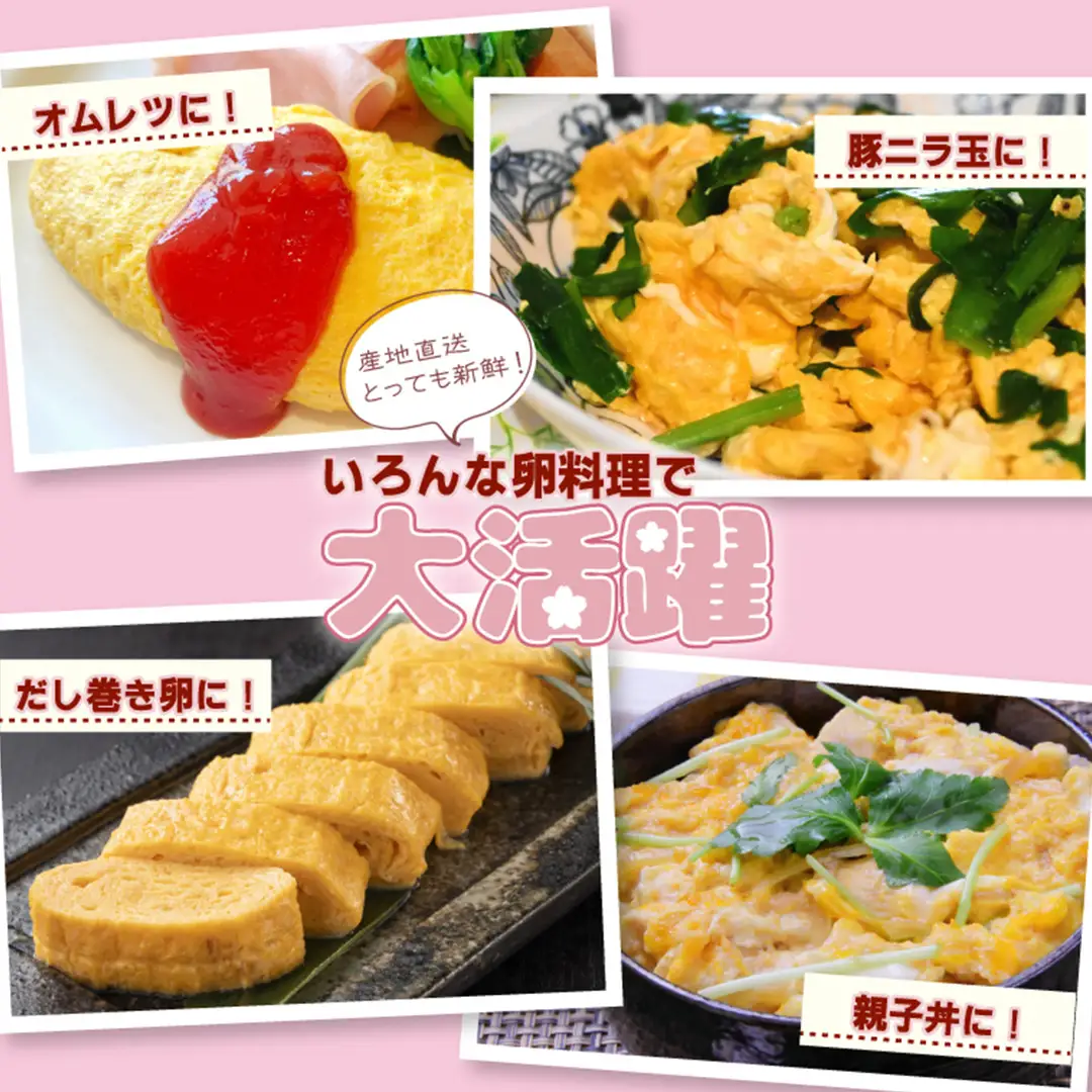 純国産鶏【さくら】純たまご 50個入り 破損保証5個を含む (AJ035)