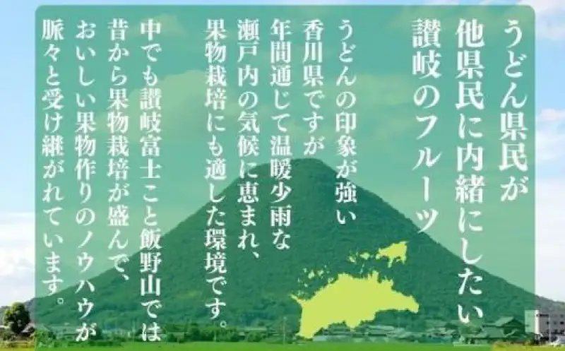 【2026年9月上旬より順次発送】シャインマスカット 訳あり 約2kg 2-6房