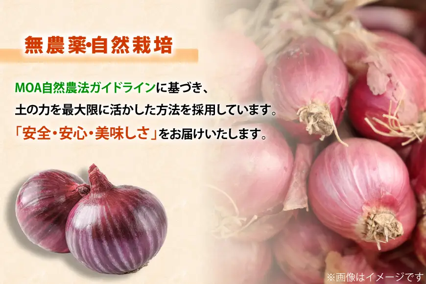 玉ねぎ 赤玉ねぎ セット 各約4kg 計約8kg [しげさん農園 長崎県 平戸市 hr42bgy420521]