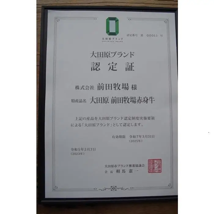 【大田原 前田牧場直送 赤身牛】ヒレブロック シャトーブリアン 約500g×2 (1kgのブロックを2分割します)  数量限定 ブランド牛 牛肉 フィレ ステーキ ヒレ 産地直送 産直