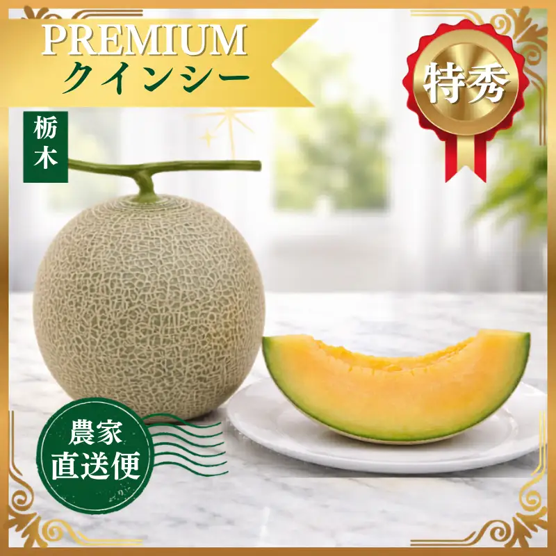 クインシー 1玉(約1.5kg) | 完熟 果物 メロン