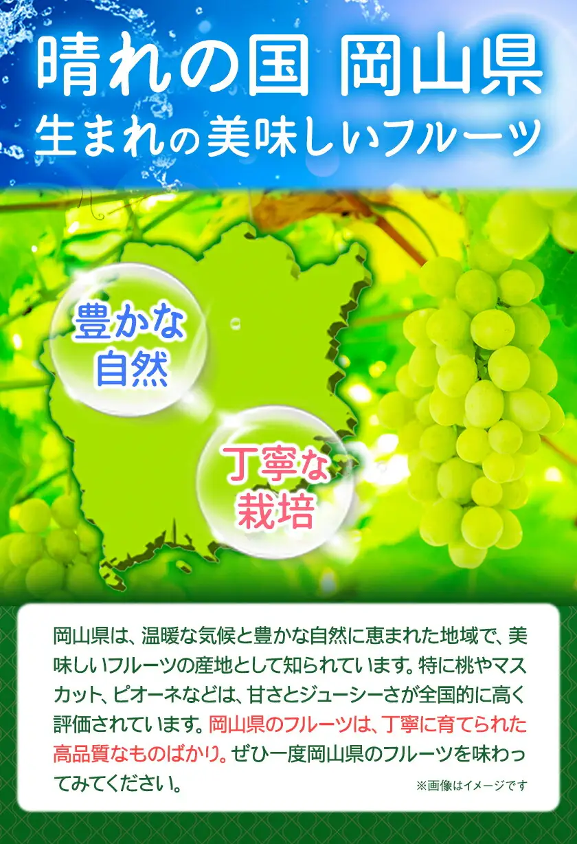 桃 岡山県の旬の白桃 約1kg 花田青果株式会社 もも