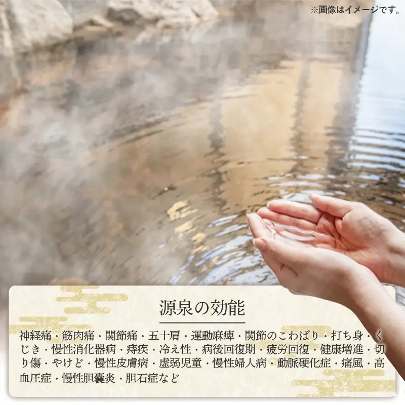 湯田山荘 入浴回数券 12枚綴り×1セット【入浴券 温泉 チケット 100% 天然鉱泉 くつろぎ 癒し リフレッシュ ご褒美 贅沢 旅行 立ち寄り湯 温泉宿 島根県 安来市】【22-ED-01】