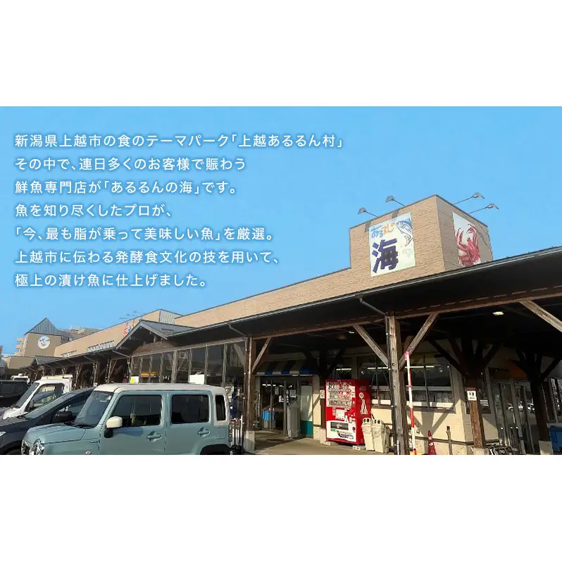 【発酵のまち上越】人気鮮魚店が厳選！ 厚切り漬け魚 5種10切セット（約1kg）銀鱈/サーモン/西京漬/粕漬/塩麹 熨斗対応可 あるるんの海
