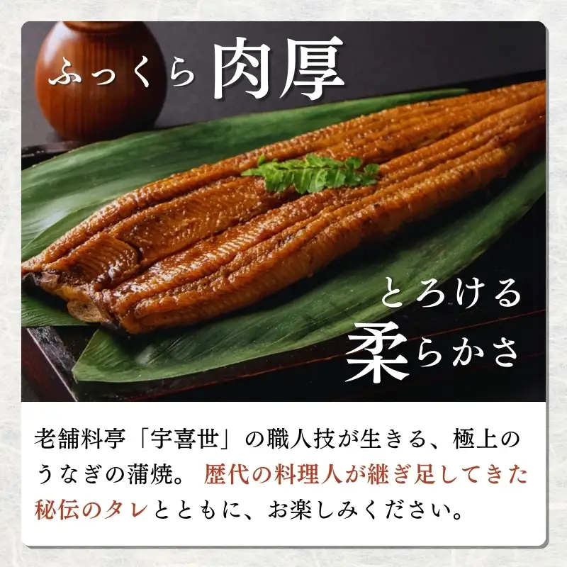 【父の日までお届け】 うなぎ 国産 蒲焼き 老舗料亭の味 職人が焼いた うなぎ蒲焼き 150g×3尾 百年料亭 宇喜世名物 鰻 蒲焼き かば焼き タレ 山椒付 湯せん ギフト 贈答 贈り物 丑の日