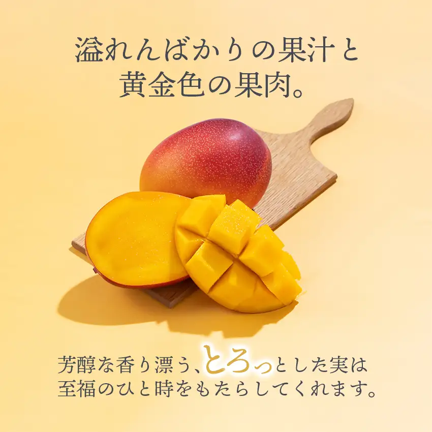 フルーツ専門店『南国フルーツ』厳選宮崎完熟マンゴー2Lサイズ2玉 宮崎県西都市産＜73-3a＞