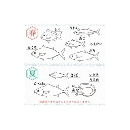 【魚屋のプロが厳選！】 鮮魚 BOX 4kg 鮮魚