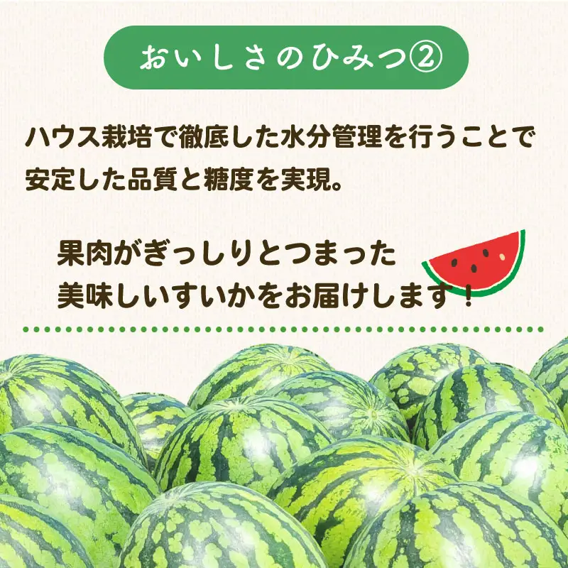 【先行予約】 すいか 2Lサイズ 4個入  ピノガール 牧之原市 静岡県 福代農園