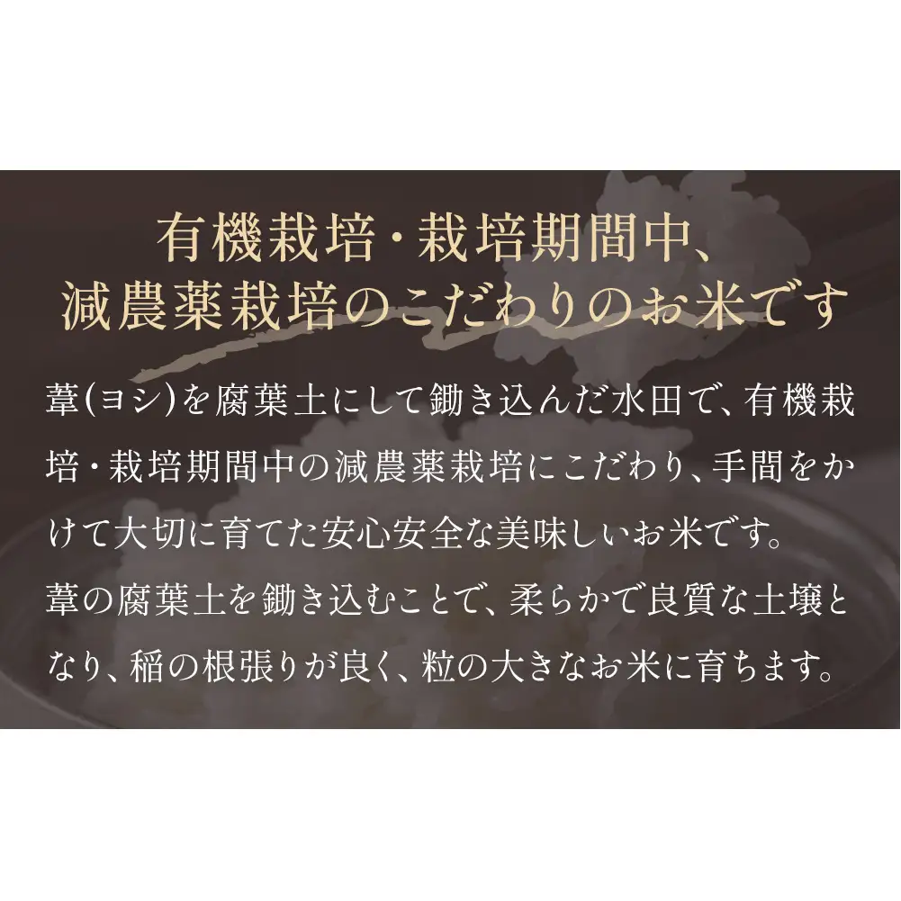 【10月配送】 ＜先行予約＞ 米 令和8年産 ひとめぼれ 精米 5kg 単品 新米 こめ コメ お米 ご飯 白米 ヒトメボレ