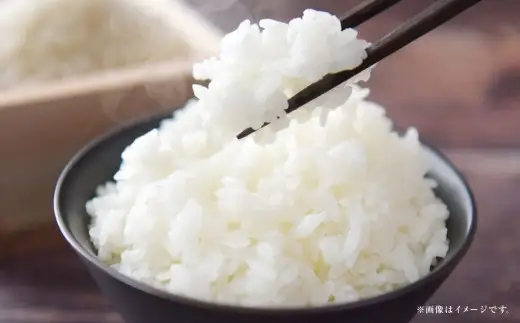 【 令和7年産 】 岡山県産 コシヒカリ 10kg （ 5kg × 2袋 ） 香り 旨味 ツヤ 粘り お米 米 こめ コメ 白米 白飯 飯 ご飯 ブランド米 ブランド 国産 おにぎり