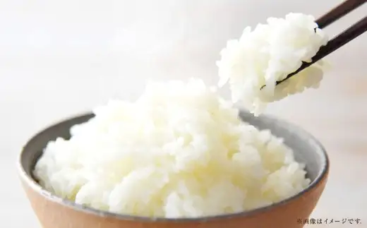【 令和7年産 】 岡山県産 きぬむすめ 10kg （ 5kg × 2袋 ） 甘み 粘り 食味 特A お米 米 こめ コメ 白飯 飯 ご飯 ブランド米 ブランド 国産 白米 おにぎり