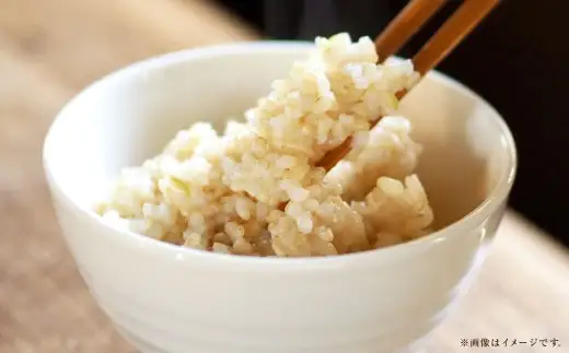 【 令和7年産 】 岡山県産 きぬむすめ 早炊き 玄米 10kg （ 2kg × 5袋 ） 栄養 時短 炊飯器 洗米不要 食味 お米 米 こめ コメ 白米 白飯 飯 ご飯 ブランド米 ブランド 国産 おにぎり