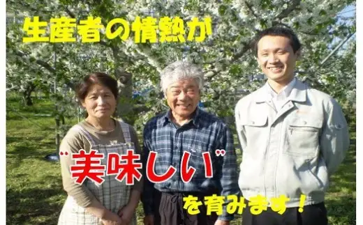 さくらんぼ ( 佐藤錦 ) 700g さくらんぼ 08-02-015