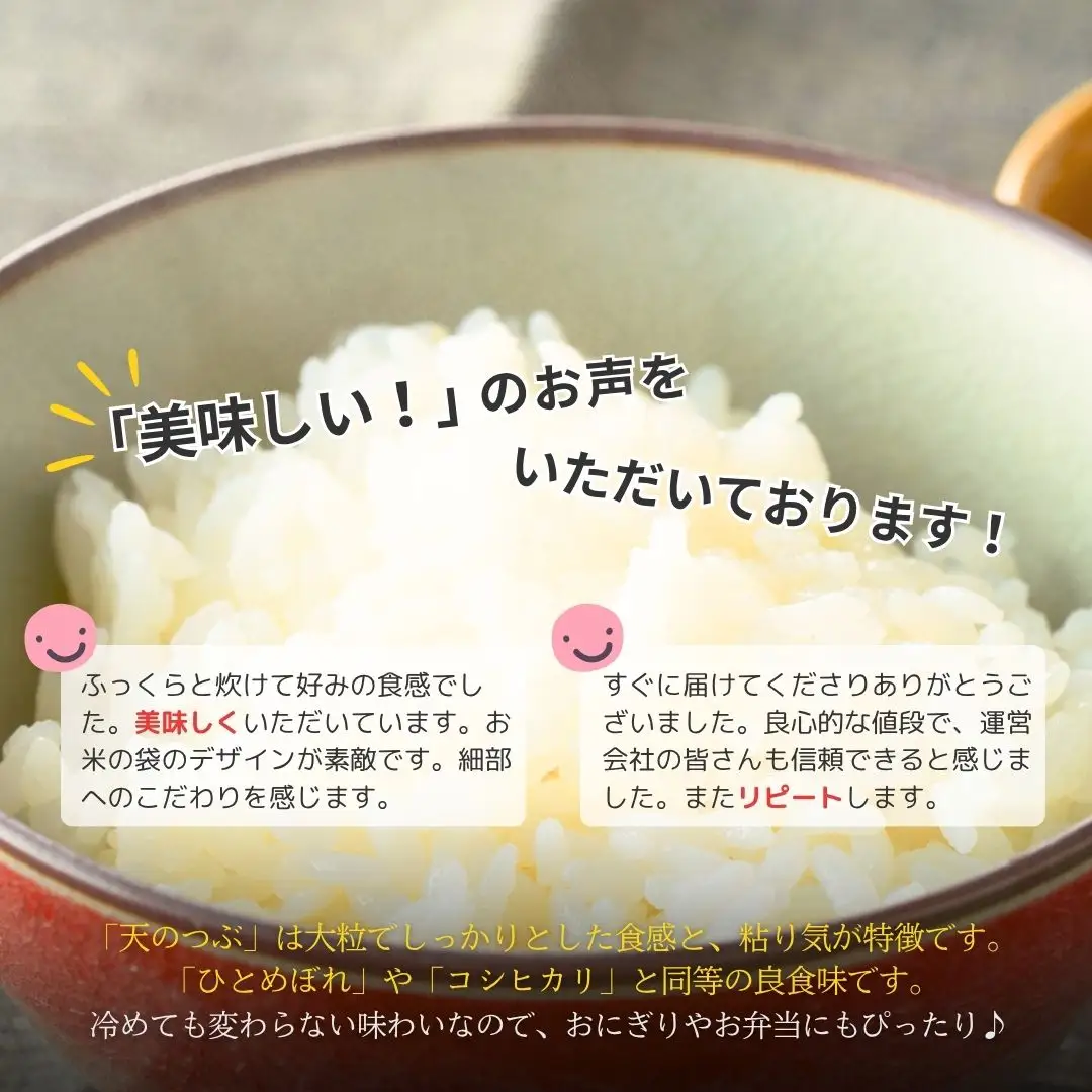 パックご飯 天のつぶ 48食 令和7年産｜備蓄 保存食 常温 南相馬