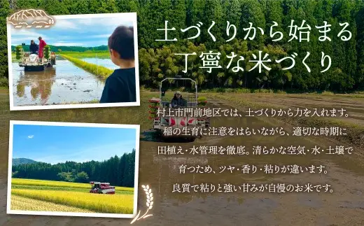 【新米受付・令和8年産米】【定期便：3ヶ月お届け】】新潟県村上市　岩船産コシヒカリ6kg（2kg×３袋）×3ヶ月　合計18kg　1103002N